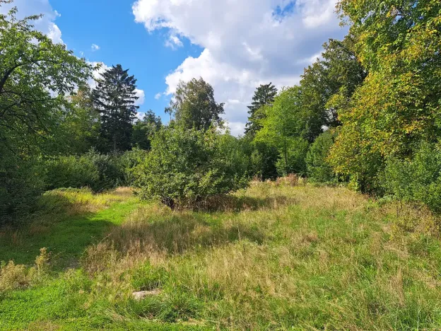 Prodej pozemku, Nemojov - Nový Nemojov, 3619 m2