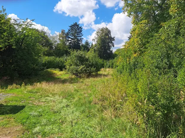 Prodej pozemku, Nemojov - Nový Nemojov, 3619 m2