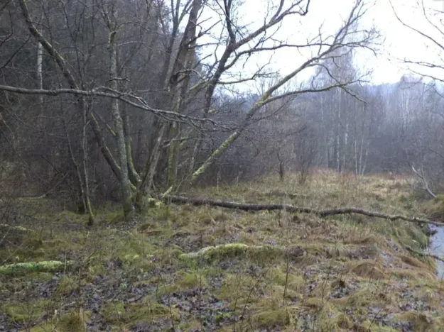 Dražba louky, Vyšší Brod, 919 m2