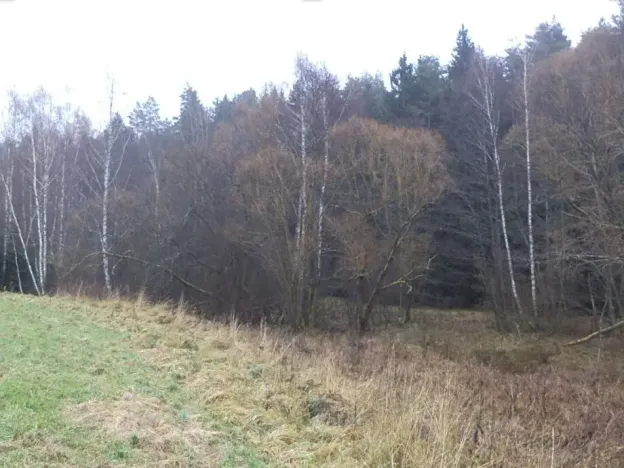 Dražba louky, Vyšší Brod, 919 m2