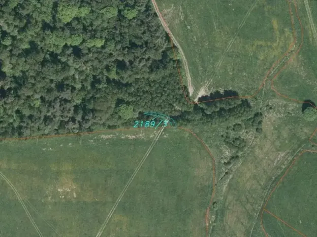 Dražba louky, Vyšší Brod, 919 m2