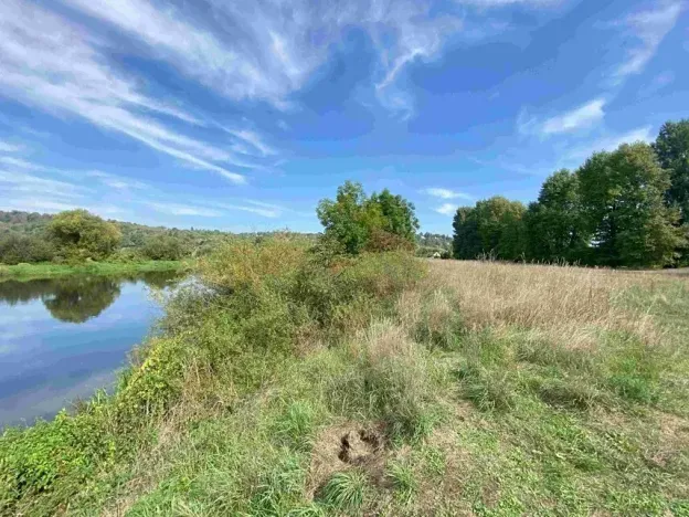 Dražba louky, Všenory, 601 m2