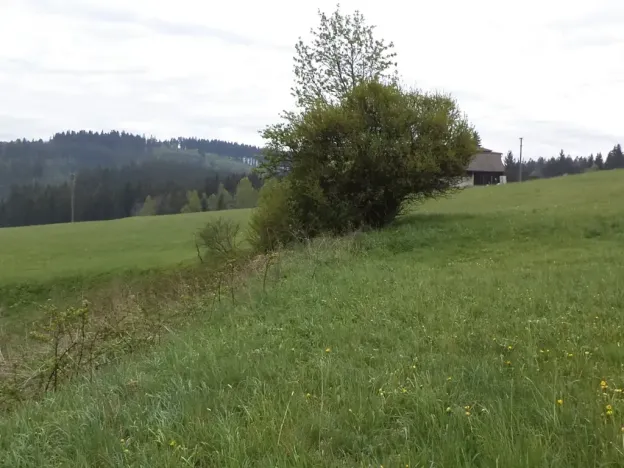 Dražba louky, Mosty u Jablunkova, 1105 m2