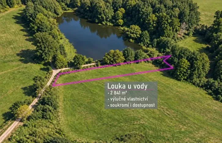Prodej louky, Blažejov, 2841 m2