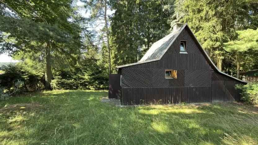 Prodej ostatní, Borová