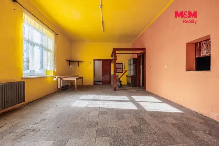 Prodej obchodního prostoru, Nová Ves - Vepřek, 600 m2