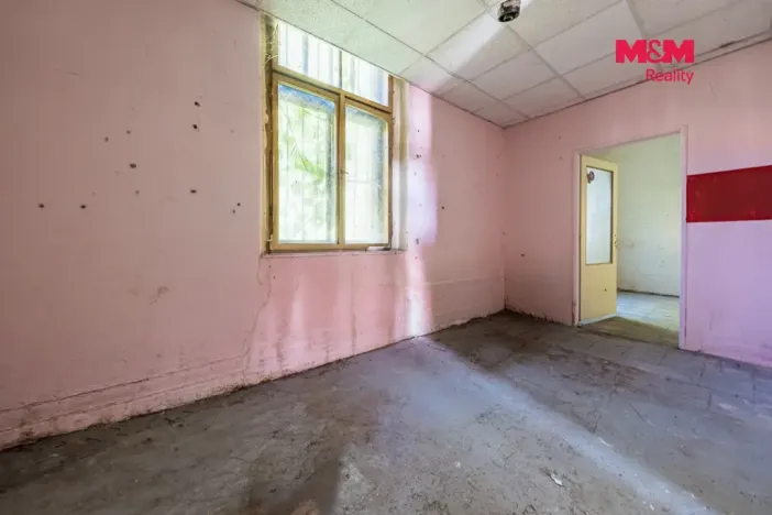 Prodej obchodního prostoru, Nová Ves - Vepřek, 600 m2