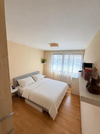 Pronájem bytu 2+kk, Praha - Holešovice, Poupětova, 52 m2