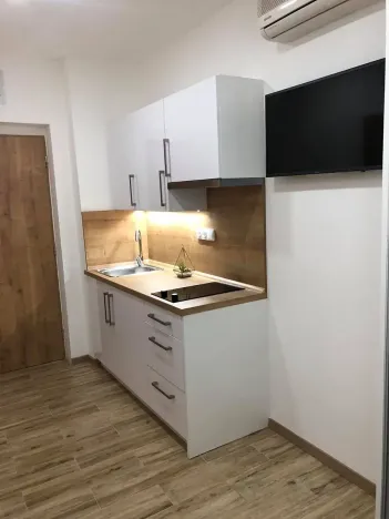 Pronájem bytu 1+kk, Zlín, Vejvanovská, 20 m2