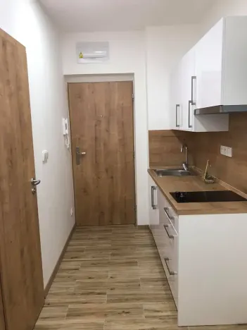 Pronájem bytu 1+kk, Zlín, Vejvanovská, 20 m2