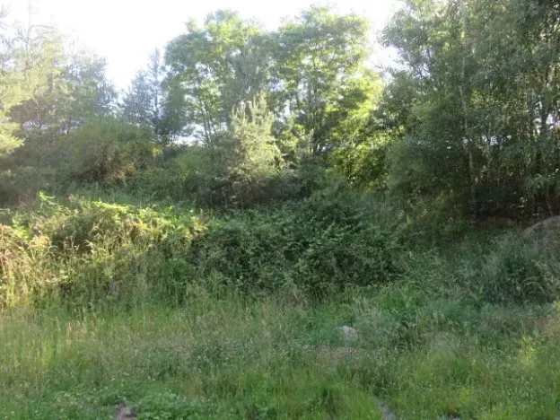 Dražba pozemku, Nové Strašecí, 860 m2