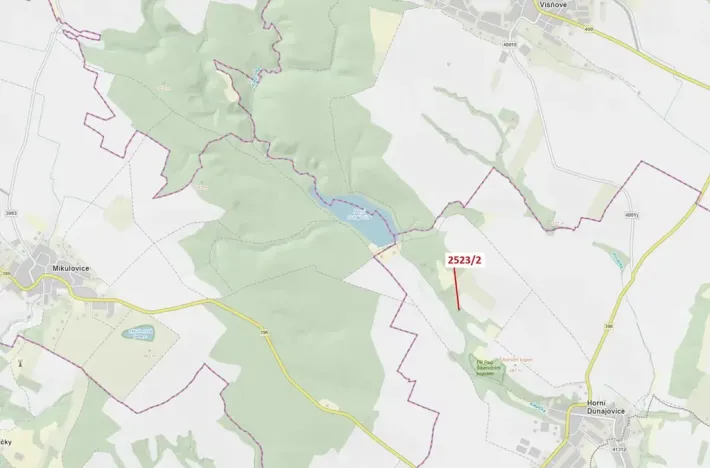 Dražba lesa, Horní Dunajovice, 406 m2