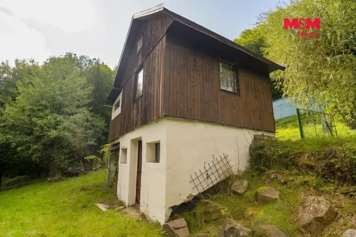 Prodej chaty, Stružnice - Bořetín, 489 m2