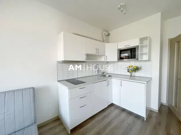 Pronájem bytu 1+kk, Praha - Malešice, Nad úžlabinou, 28 m2
