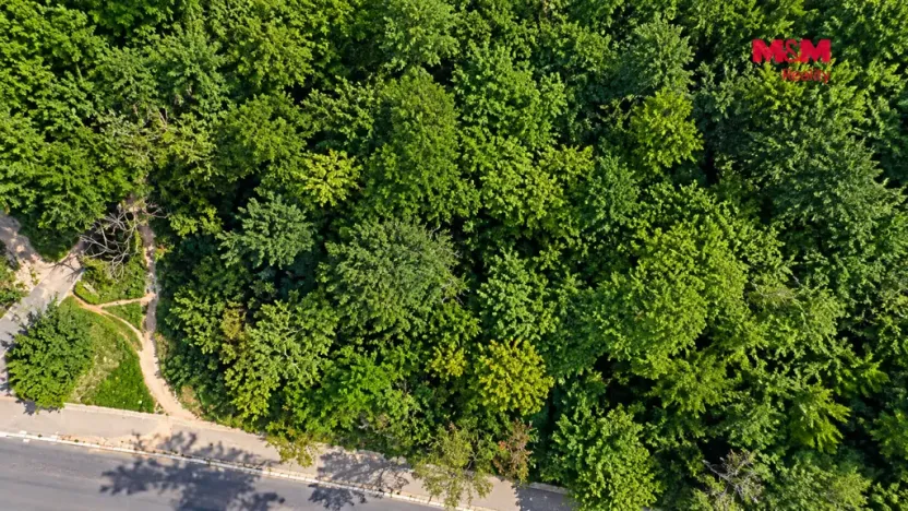 Prodej zahrady, Praha - Bohnice, 600 m2