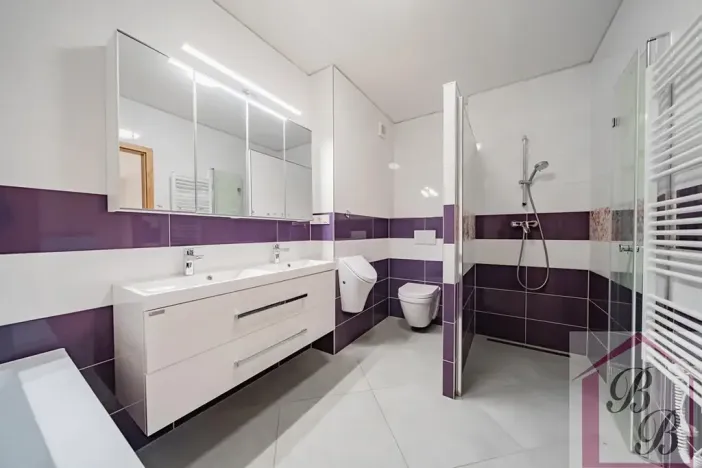 Prodej rodinného domu, Mladá Boleslav, 154 m2