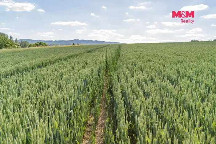 Prodej pole, Rožmitál pod Třemšínem - Skuhrov, 1439 m2