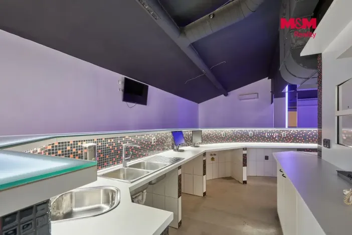 Pronájem obchodního prostoru, Drslavice, 365 m2