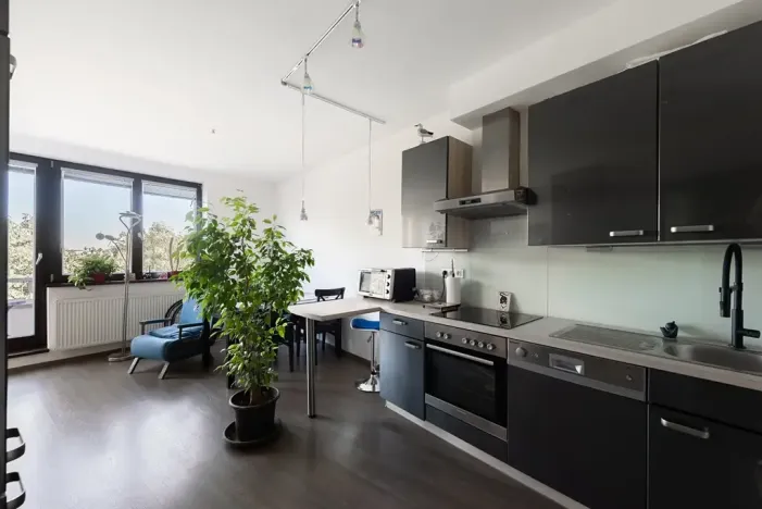 Prodej bytu 2+kk, Praha - Nusle, Družstevní ochoz, 51 m2