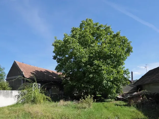 Prodej rodinného domu, Starkoč, 80 m2