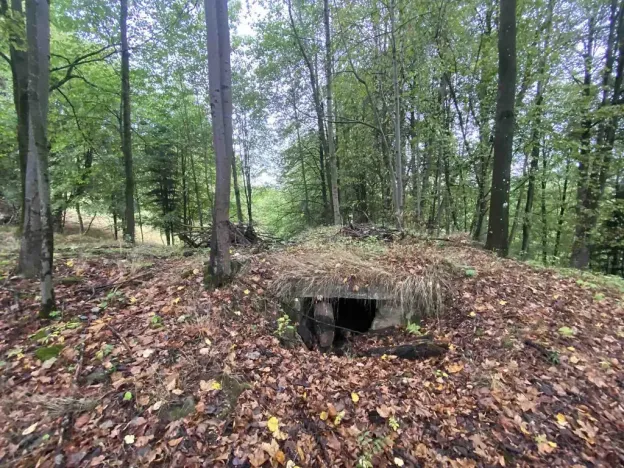 Prodej pozemku, Benešov nad Černou - Kuří, 3849 m2
