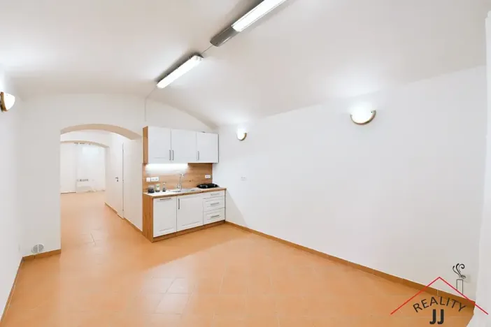 Prodej bytu 2+kk, Praha - Nusle, Oldřichova, 44 m2
