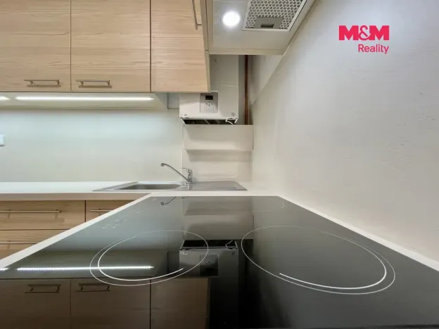 Prodej rodinného domu, Ostrava - Mariánské Hory, Daliborova, 150 m2