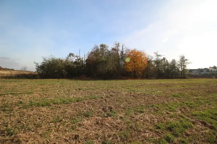 Prodej pozemku, Dolní Břežany, Keltská, 3508 m2