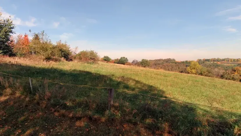 Prodej lesa, Kouřim, 87548 m2
