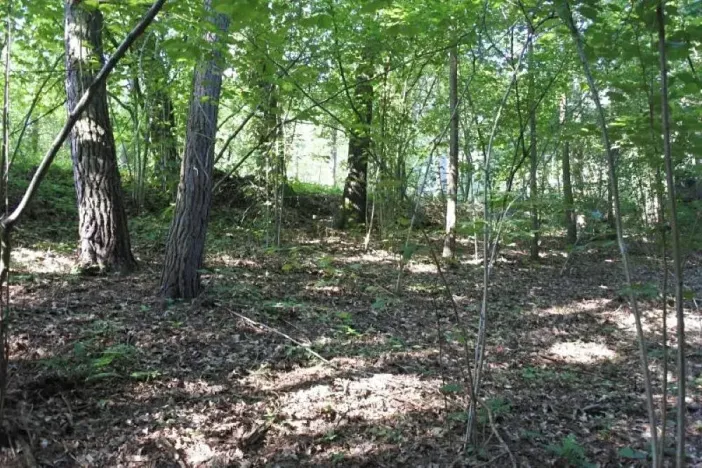 Prodej lesa, Strunkovice nad Volyňkou, 2510 m2