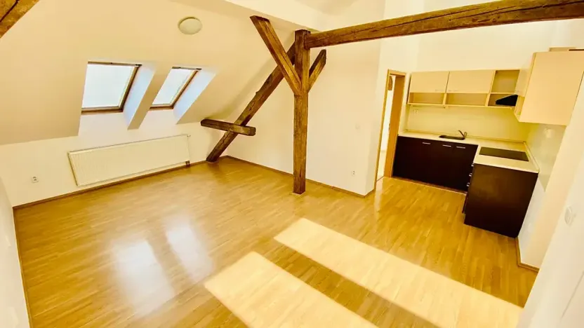 Pronájem bytu 2+kk, Brno, Ptašínského, 53 m2