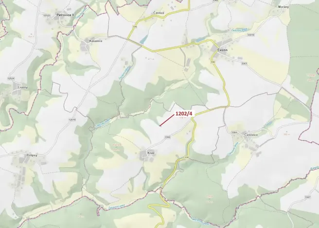 Dražba lesa, Čestín, 356 m2