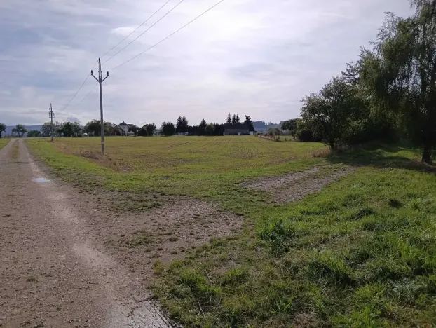 Dražba pole, Vrbice, 9030 m2