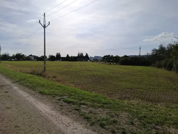 Dražba pole, Vrbice, 9030 m2