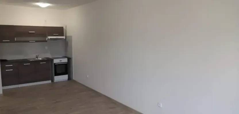 Pronájem bytu 1+kk, Mostkovice, 38 m2