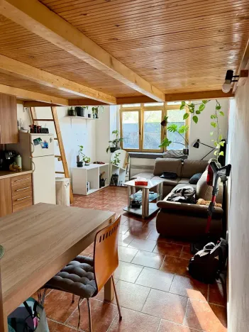 Pronájem bytu 1+kk, Praha - Košíře, Vrchlického, 25 m2