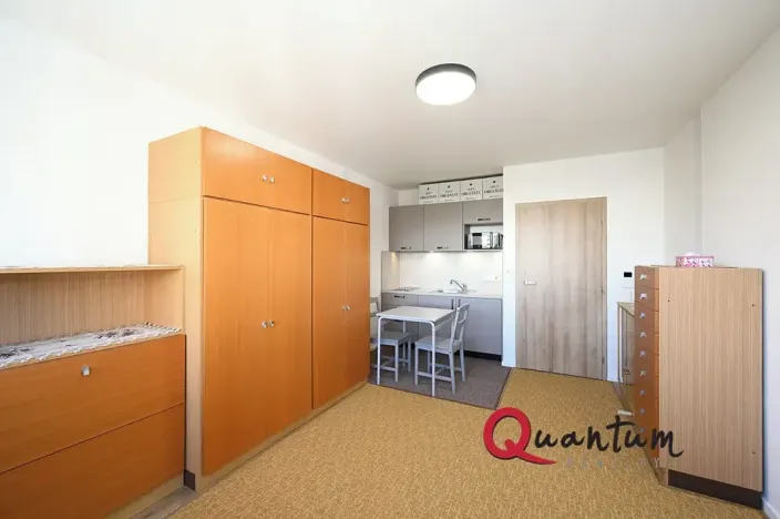Pronájem bytu 1+kk, Praha - Braník, Údolní, 27 m2