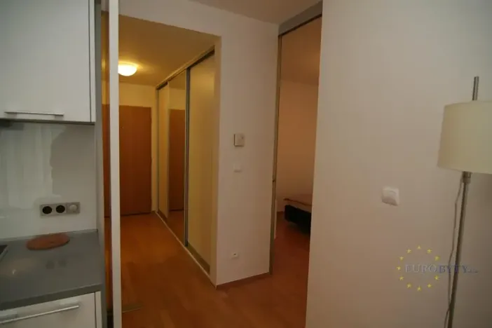 Pronájem bytu 2+kk, Praha - Žižkov, Pitterova, 70 m2