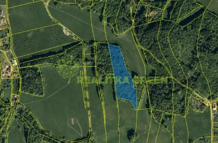 Prodej lesa, Rožnov pod Radhoštěm, Dolní Paseky, 13014 m2