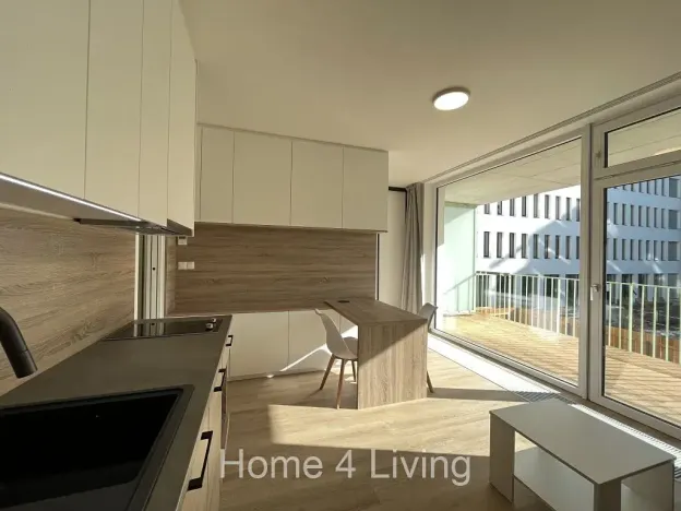 Pronájem bytu 1+kk, Brno, Fuchsova, 45 m2