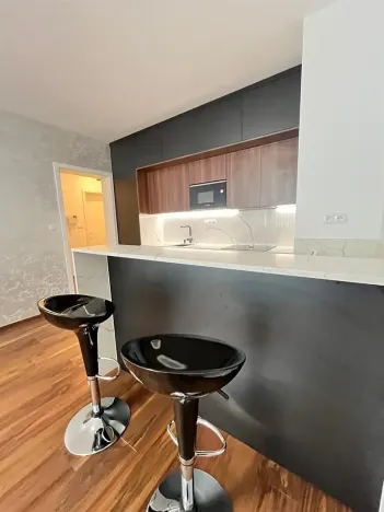 Pronájem bytu 2+kk, Praha - Nové Město, Krakovská, 55 m2