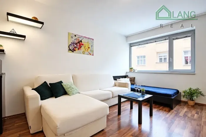 Pronájem bytu 1+kk, Brno, Hybešova, 36 m2