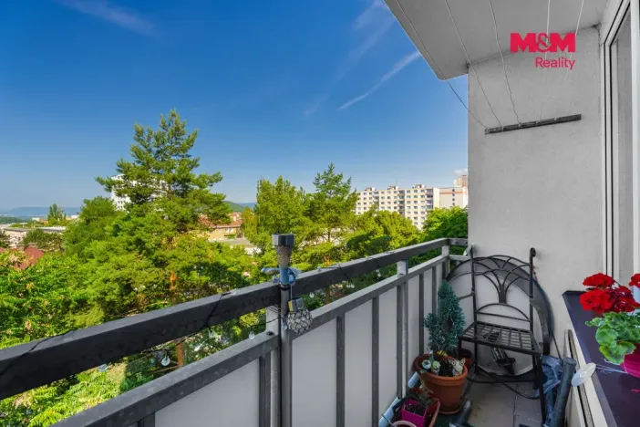 Prodej bytu 3+1, Ústí nad Labem - Ústí nad Labem-centrum, SNP, 62 m2