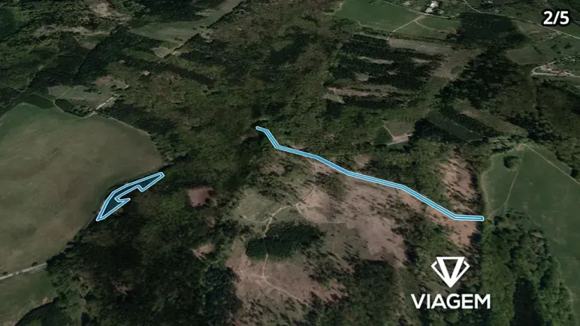 Prodej podílu lesa, Bojkovice, 3318 m2