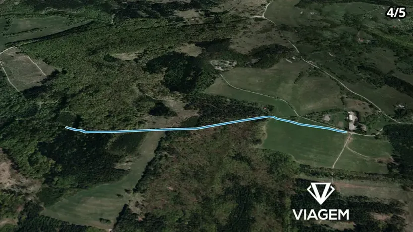 Prodej podílu lesa, Bojkovice, 3318 m2