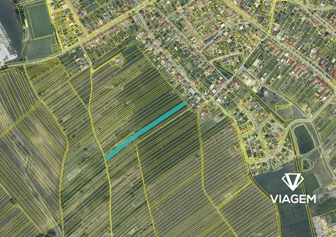 Prodej podílu pole, Hrušky, 293 m2