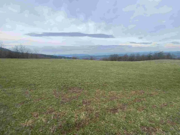 Prodej pole, Mírová pod Kozákovem - Vesec, 14714 m2
