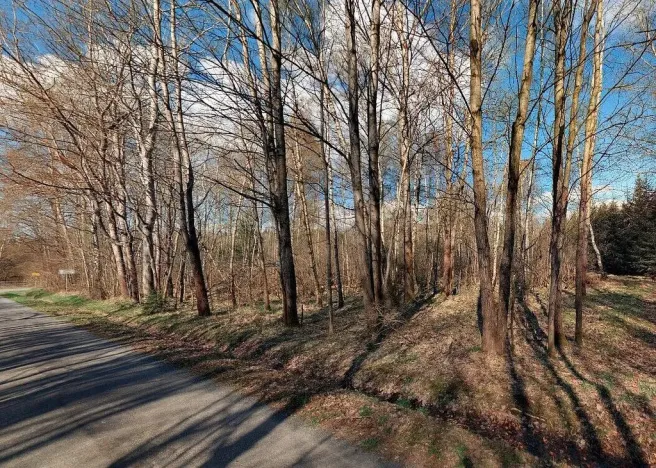 Prodej pozemku, 2618 m², Rozvadov