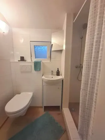 Prodej obchodního prostoru, Brno, Rokycanova, 62 m2