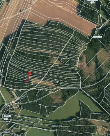 Prodej lesa, Strmilov, 2392 m2
